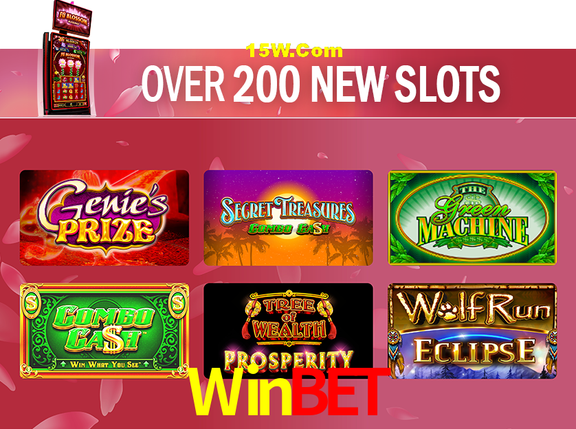Bonus Features Winbet